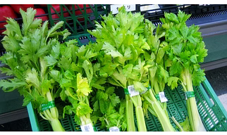Celery