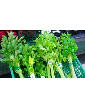 Celery