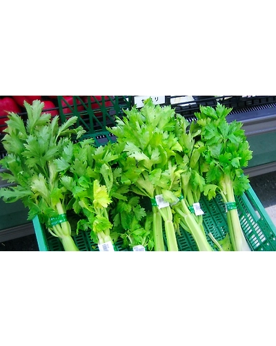Celery-28-250g