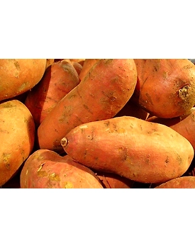 Sweet Potatoes (Shakarkandi)