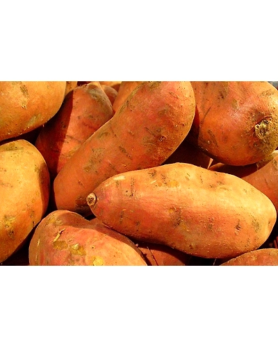 Sweet Potatoes (Shakarkandi)-222-250g