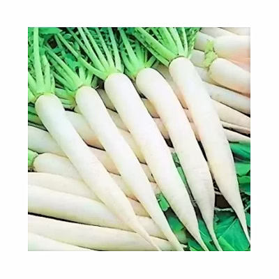 radish (mooli)