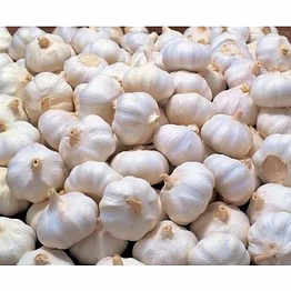 garlic (lehsun)