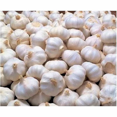 garlic (lehsun)