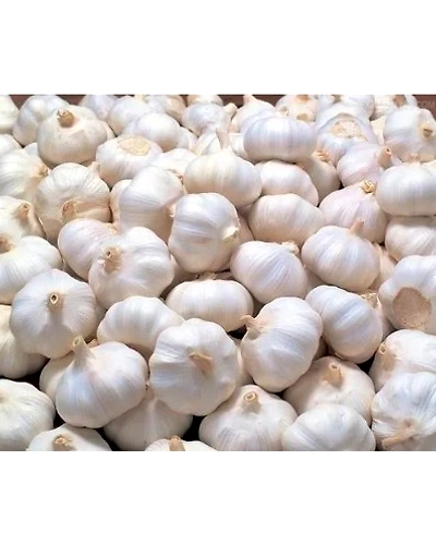 Garlic (Lehsun)-124-250g