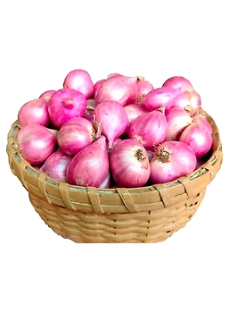 Shallots (Small Onions)