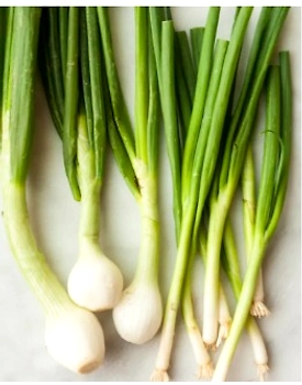 Green Onions (Scallions or Spring Onions)