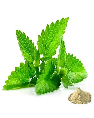 Mint (Pudina)-129-250g