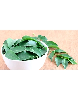 Curry Leaves (Kadi Patta)