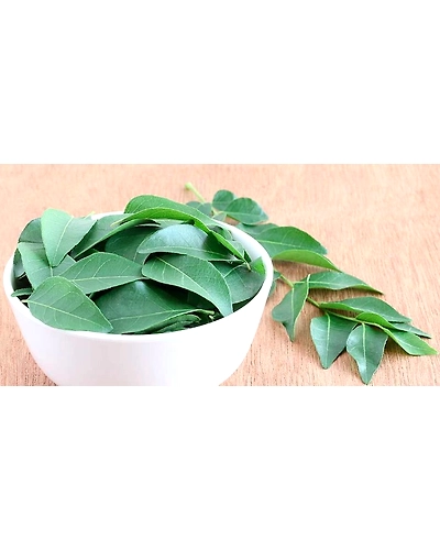 Curry Leaves (Kadi Patta)-130-250g
