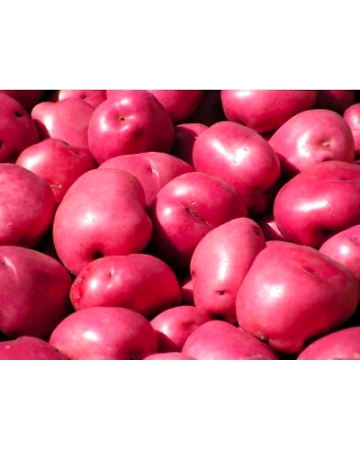 Red Potato (Aloo)-112-250g