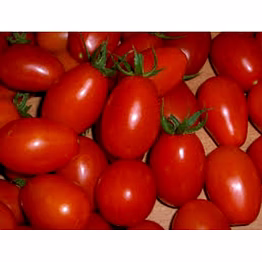 tomato salad (tamatar)