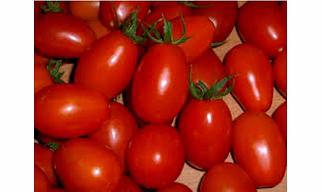 Tomato Salad (Tamatar)