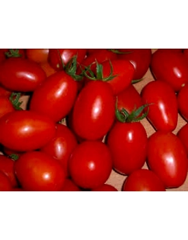 Tomato Salad (Tamatar)