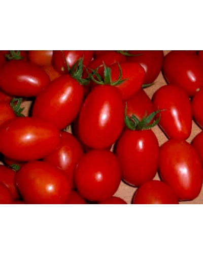 Tomato Salad (Tamatar)-1211-250g