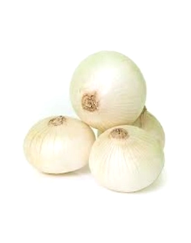 White onion