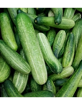 Desi cucumber