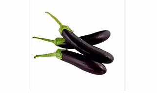 long brinjal (lamba bagan)