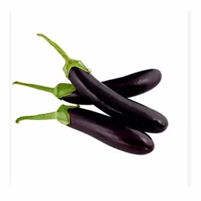 long brinjal (lamba bagan)