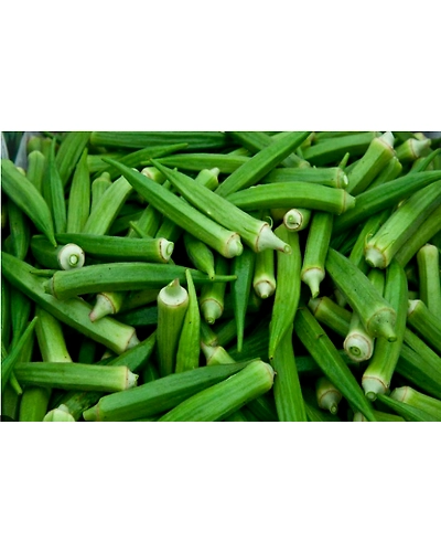 ladyfinger (bhindi)-744-250g