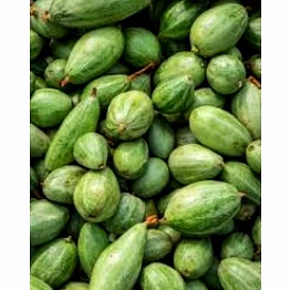 small pointed gourd (chota parwal)