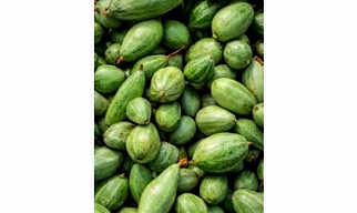 small pointed gourd (chota parwal)