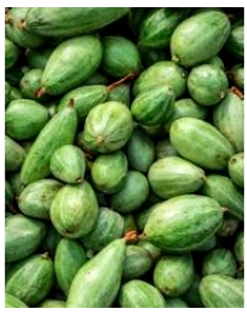 small pointed gourd (chota parwal)