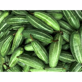 big pointed gourd (bda parwal)