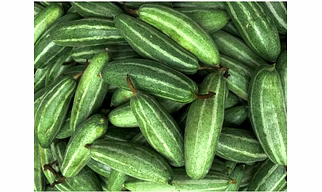 Big pointed gourd (bda parwal)