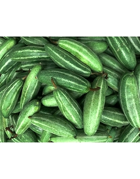 Big pointed gourd (bda parwal)