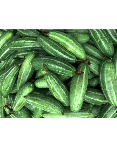 Big pointed gourd (bda parwal)-7654-250g