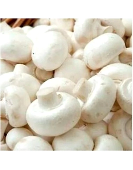 mushroom