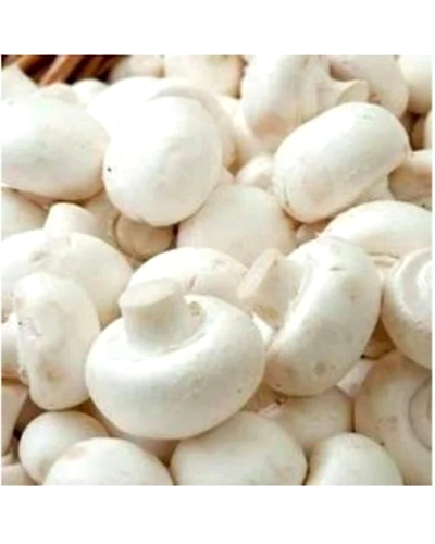 mushroom-6766-250g