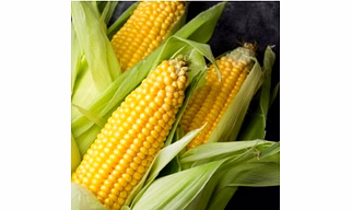 corn
