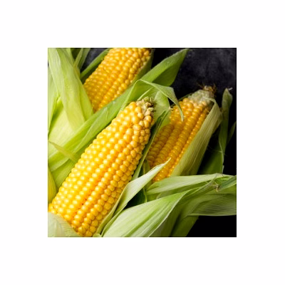 corn