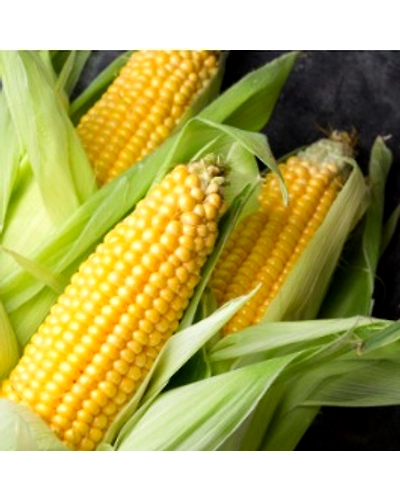corn-655-250g