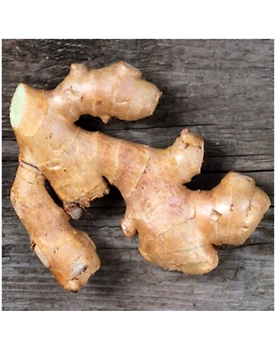 ginger