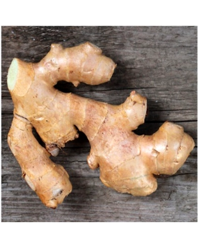 ginger-3111-250g