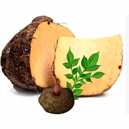 elephant foot yam (jamikand)