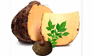 elephant foot yam (jamikand)