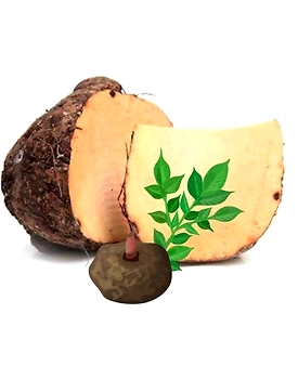 elephant foot yam (jamikand)