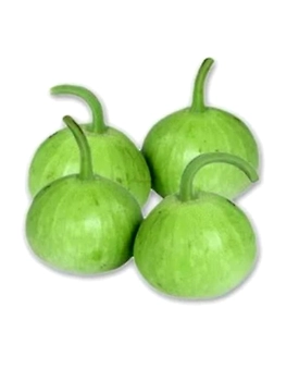 kaddu