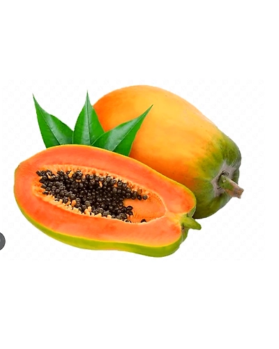 Papaya-msb4