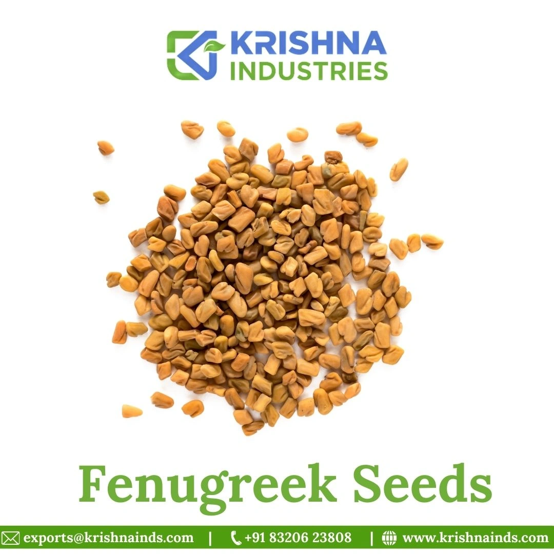 fenugreek Seeds-12583542