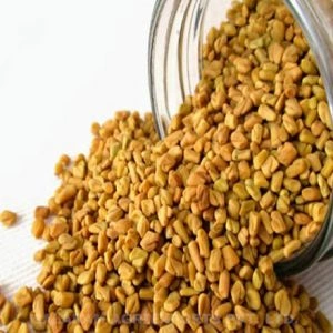 fenugreek Seeds-2