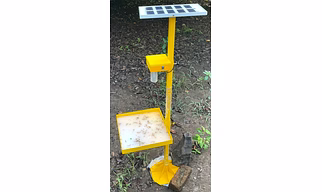 SolarBasket Solar Insect Trap