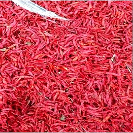 teja dry red chilli