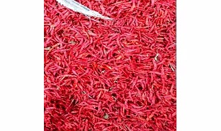 Dry Red Chilli
