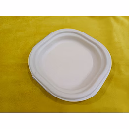 6 inch sugarcane bagasse plate