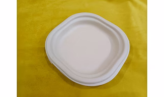 6 inch Sugarcane  Bagasse Plate